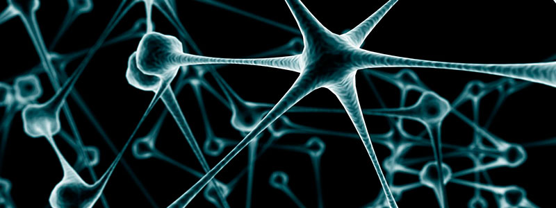 CAPACIDAD DE INTERVENCIÓN INTERNACIONAL